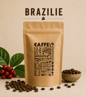 Brazílie